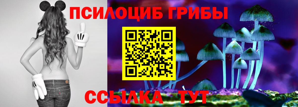 Галлюциногенные грибы Psilocybe  Вход с VPN  Егорьевск 